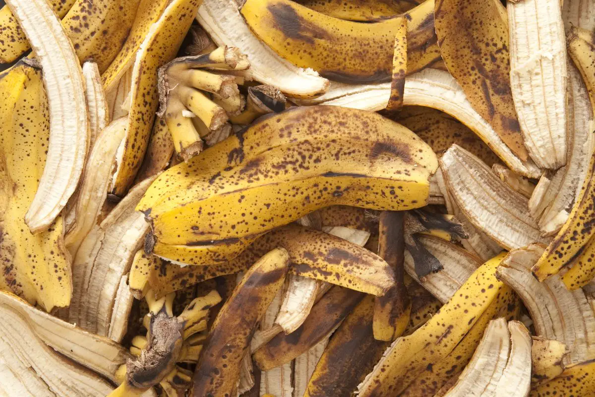 Congelarea Cojilor De Banane: La Ce Servesc Și Cum Să Le Folosiți