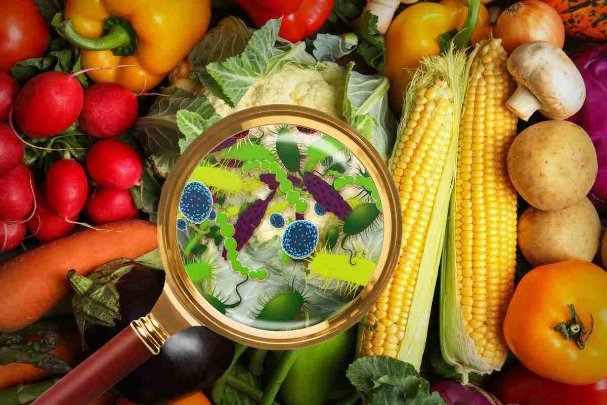 Acesta Este Cel Mai Bun Ingredient Casnic Pentru Eliminarea Germenilor Și Bacteriilor Din Frigider