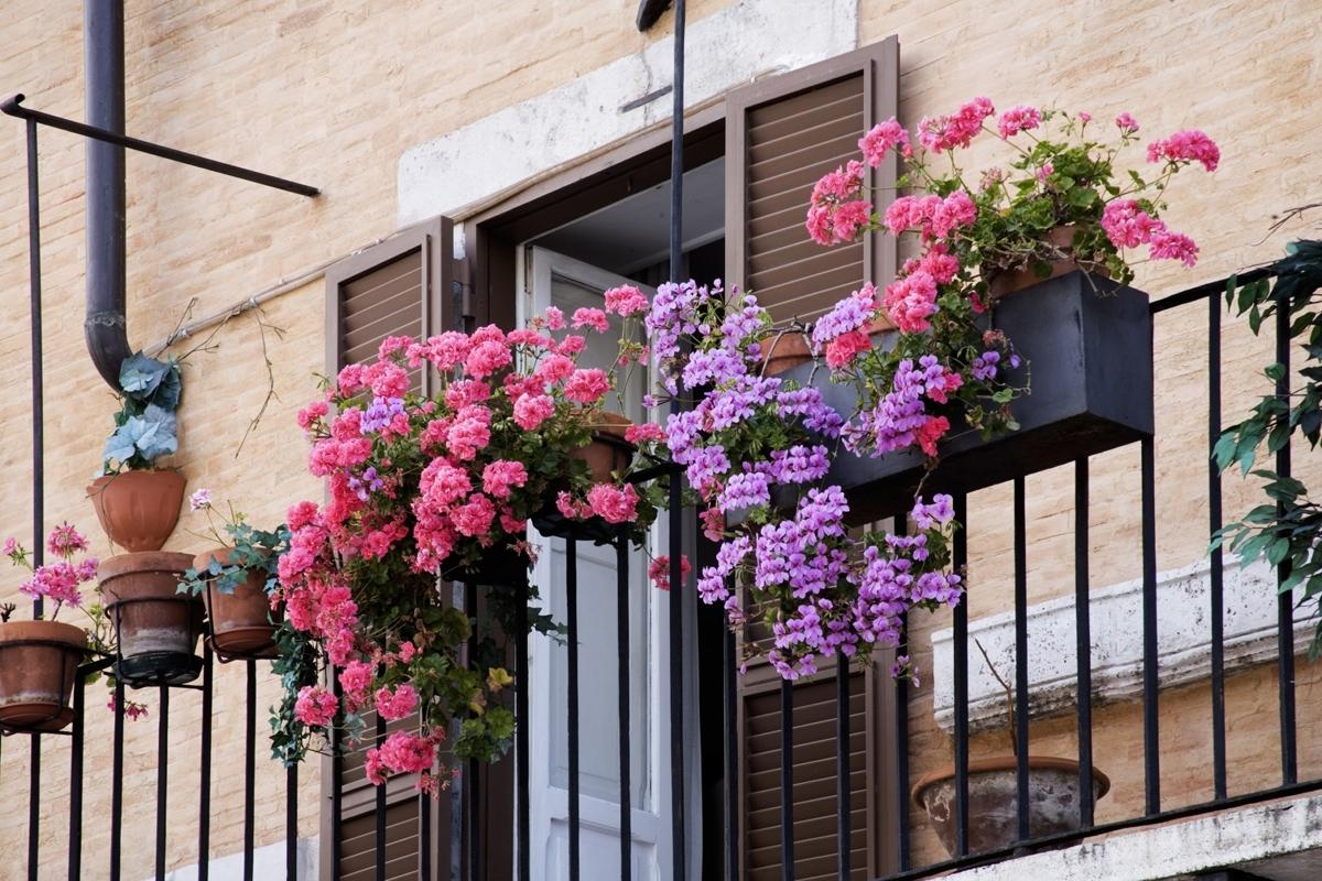 O Tânără Spaniolă De 30 De Ani Se Mută În Germania Și Transformă Un Balcon Mic Și Murdar De 1 M² Într-Un Colț Confortabil Și Elegant, Cu Mobilier Reciclat De La Ikea Și Hortensii