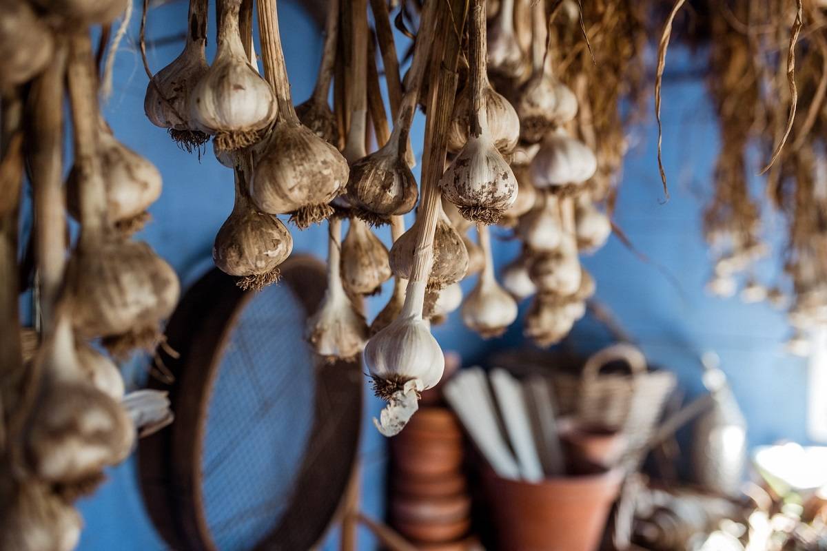 Nu Este Pentru Decor: De Ce Trebuie Să Atârnați Usturoi Pe Balcon Și Ce Beneficii Are